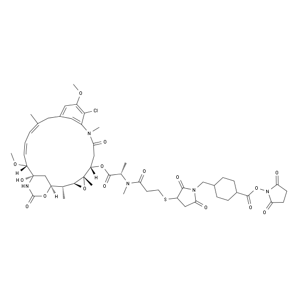 SMCC-DM1