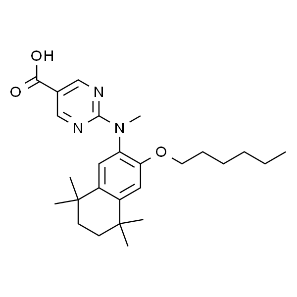 PA452,RXR拮抗剂